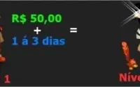 Upamos seu personagem do 1 ao 100, em no máximo 3 dias.