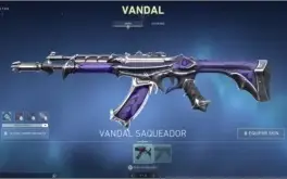 Conta com 11K DE VP + SKINS