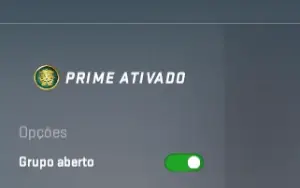 Conta Prime CS2