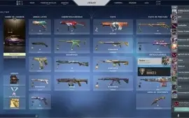 CONTA VALORANT OURO 1- TOP - R$500,00 GASTO + PASSES LvL 335