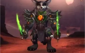 CONTA WOW TOP SHADOWLANDS