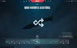 Conta valorant, negocio o valor (full acesso)