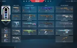Conta valorant, negocio o valor (full acesso)