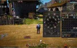 conta de BLACK DESERT SA- essencial- warrior lvl 56