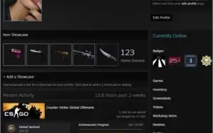 Steam lvl 55 | CS Prime | Medalhas | 1k em skins