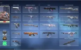 Conta VALORANT + 70 SKINS
