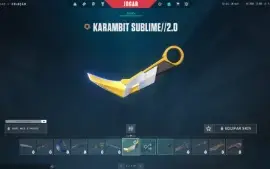 Vendo conta valorant platina/ diamond com bastante skin