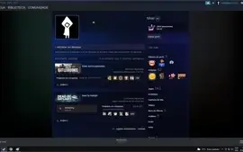 A MELHOR CONTA STEAM DA DF! (NÍVEL 61) MUITAS SKINS