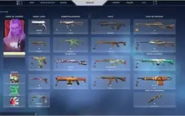 VENDO [CONTA VALORANT] TODOS OS PERSONAGENS, SKINS E ETC.
