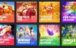 Tenha Sua Própria Api Jogos Pgsoft Originais 6 JOGOS! 