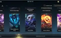 CONTA GM, VARIAS SKINS, ALL SEASON