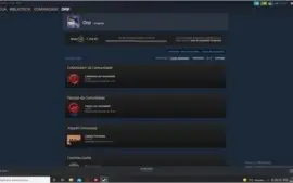 Conta CS:GO Prime Águia 2 - lvl 34 steam