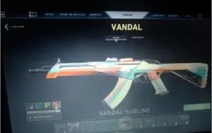conta valorant cheia de skins