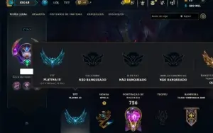 Unranked com TODOS os Champs e 255 Skins ( ADC / SUP / JG )