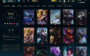 Unranked com TODOS os Champs e 255 Skins ( ADC / SUP / JG )