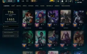 Unranked com TODOS os Champs e 255 Skins ( ADC / SUP / JG )