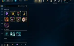 Unranked com 40 Champs e 29 Skins ( ADC / SUP ) ex Bronze