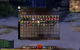 CONTA GUILD WARS 2 COM 3 EXPASÕES (LEIA A DESCRIÇÃO)