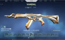 conta valorant d3 2k reais em skins