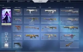 conta valorant d3 2k reais em skins