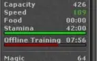 MAGE LVL 60 SKILADO ML 64 - RP LVL 37 SKILL 78/67 ML 17