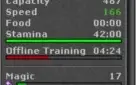 MAGE LVL 60 SKILADO ML 64 - RP LVL 37 SKILL 78/67 ML 17