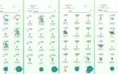 LVL 37!!! Conta de Pokémon GO 100% SEGURA!!!