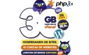 30gb Ssd Hospedagem De Site Cpanel Tráfego Ilimitado