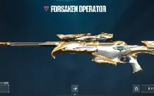Conta Valorant platina 1 com muitas skins