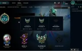 Conta Platina