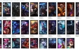 (PROMOÇÃO) 43 CAMPEÕES - 29 SKINS