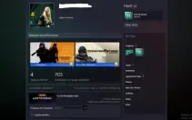 duas contas steam uma com 25k horas e outra com medalhas