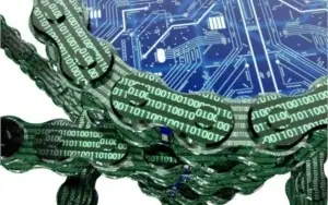 300.000 MIL STRONGHAND CRYPTOMOEDA TIPO BITCOIN, DOGECOIN