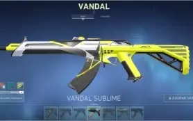 CONTA LOL + VALORANT