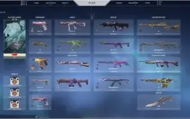 CONTA DE VALORANT COM SKINS PLATINA 2