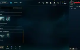 Conta Mestre com muitas skins e todos os campeões.