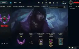 Conta Mestre com muitas skins e todos os campeões.
