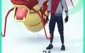 Lv 31 Sem Time - Premium + Shiny #03