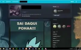 steam lvl 11 csgo aguia sem vac