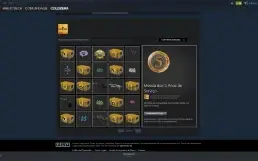 Conta Csgo Com Medalha De 5 Anos E 230 Reais Em Saldo