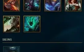 CONTA UNRAKED LVL 30