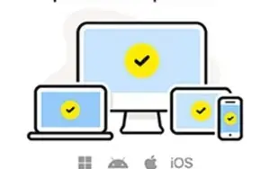 Norton VPN Deluxe 12 MESES