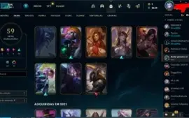 Conta de LoL , LvL 208, 59 Skins, 2 Skins Ultimates