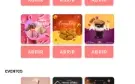 App pack canva