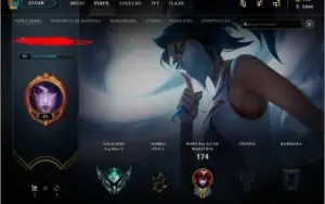 conta platina 4