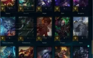 conta platina 4