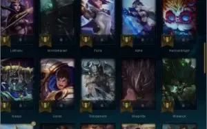 conta platina 4