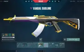 Conta VALORANT ex radiante com varias skins