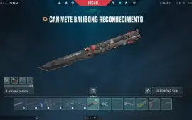 Conta VALORANT ex radiante com varias skins