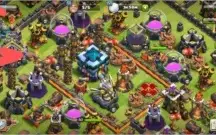 CV 13 ex curinga,top